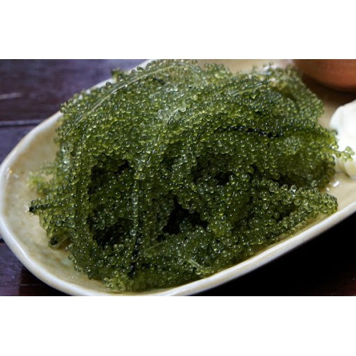 Bán sỉ 5 Hộp Rong nho Tách nước Green Food 100% Natural - Hộp 200gr  Hàng Công Ty Check Thông Tin Qua Mã Vạch