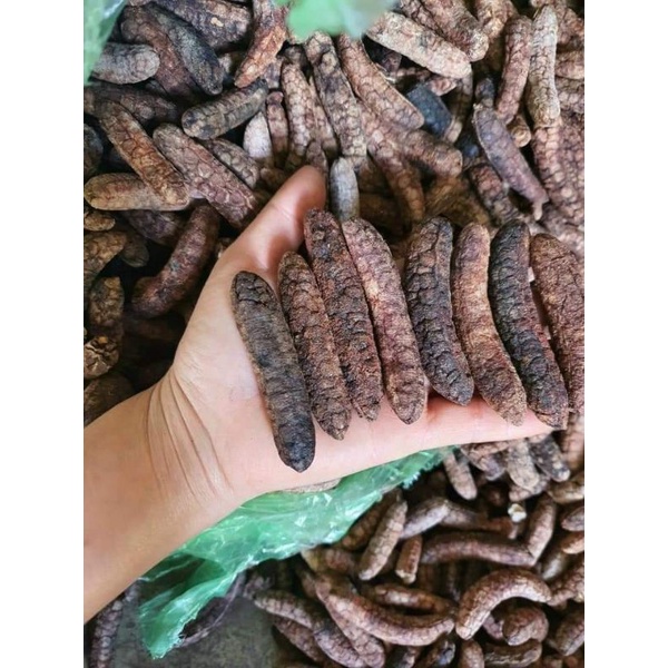 1kg Chuối hột rừng tây nguyên