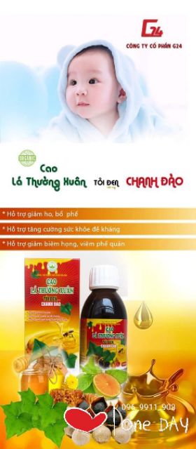 THUỐC HO CAO LÁ THƯỜNG XUÂN TỎI ĐEN CHANH ĐÀO