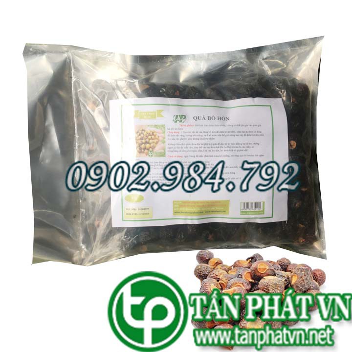 Bồ hòn giúp kháng khuẩn