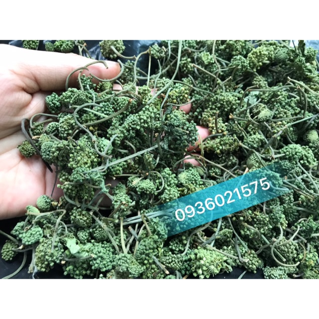 Nụ tam thất (100g) loại ngon