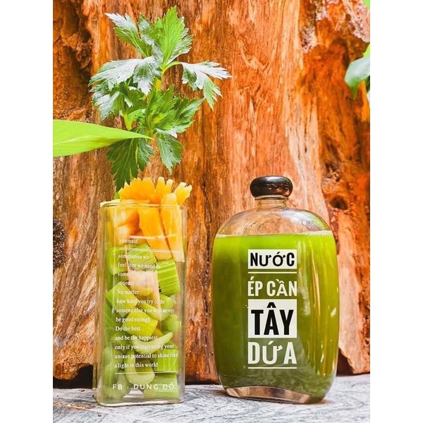 Chai Thuỷ Tinh Dẹt Nắp Nhựa 100ml, 250ml 350ml 500ml Đựng Cafe, Mật Ong, Sữa, Nước Ép siêu kute