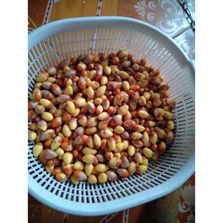 Bạch quả tươi lột vỏ 100g