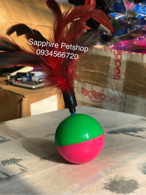 ĐỒ CHƠI BÓNG LĂN LẬT ĐẬT