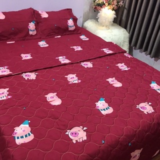 Combo 2 set m8 tặng 1 vỏ gối ôm