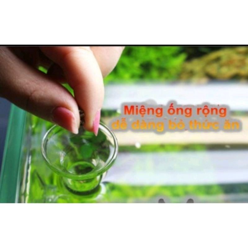 Bộ ống thủy tinh cho tép ăn - ống tép thủy sinh
