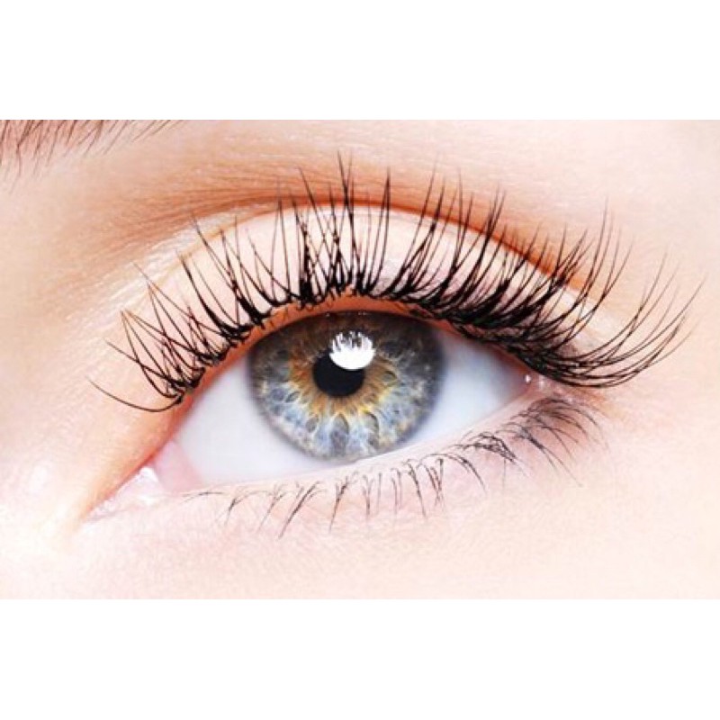 Kẹp Bấm Mi Nhựa Eyelash Giúp Cho Đôi Mi Cong Đẹp Tự Nhiên