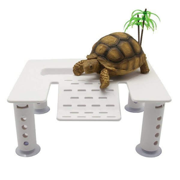 Bệ Tắm Nắng Cho Rùa 4 chân