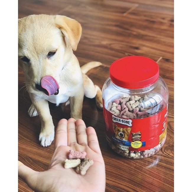 Xương Bánh Quy Vitamin Milkbone USA 1.07kg