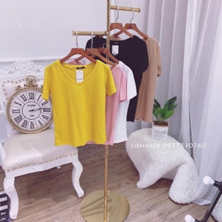 Áo phông cổ tim cotton giấy