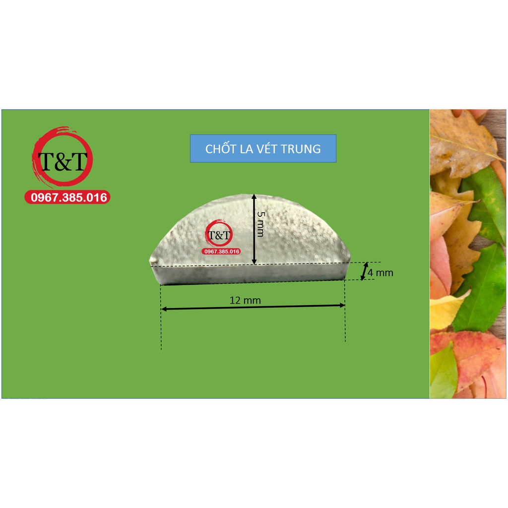 CHỐT LAVET LOẠI TRUNG 4 5 12 CÁ ĐỤC 0810
