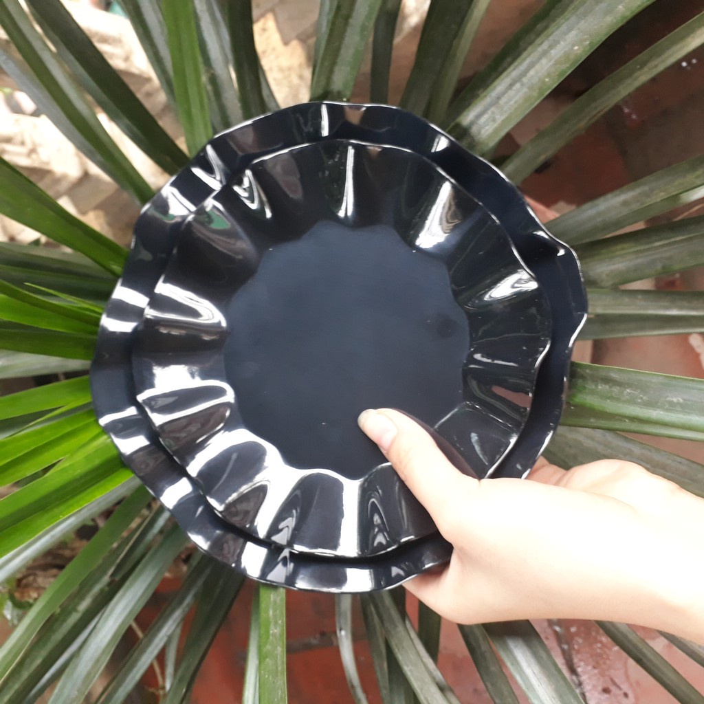 Đĩa phíp đựng hoa quả đồ ăn dạng Bèo cao cấp