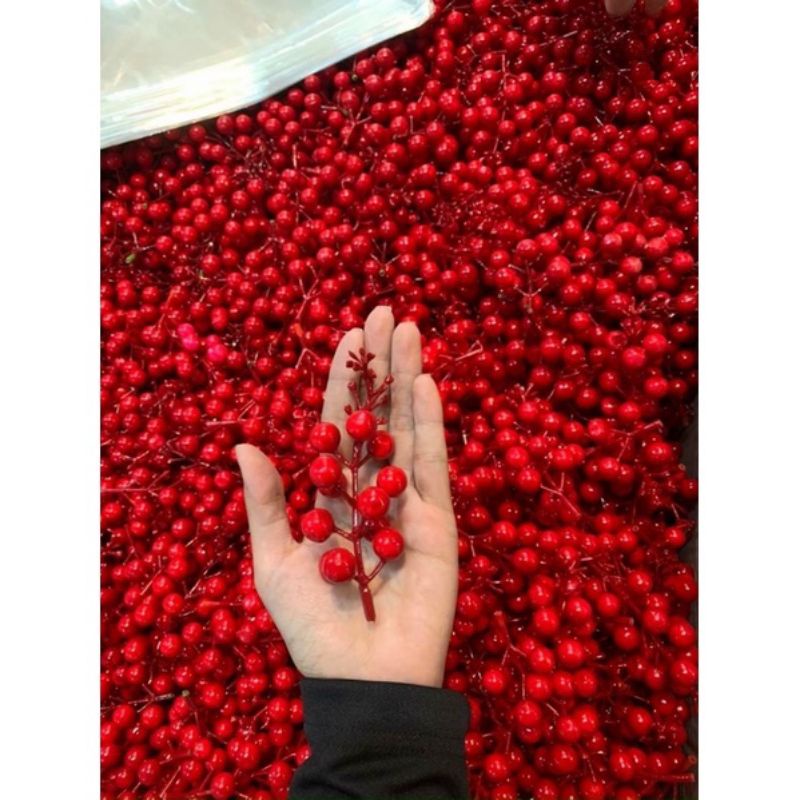 Chùm đào đông trang trí cháp