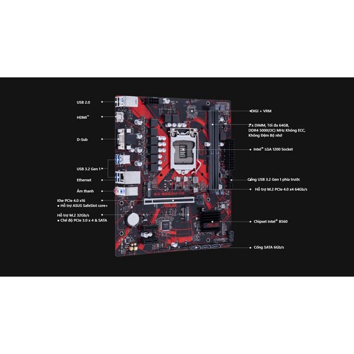 Mainboard Asus EXB560MV5 Expedition