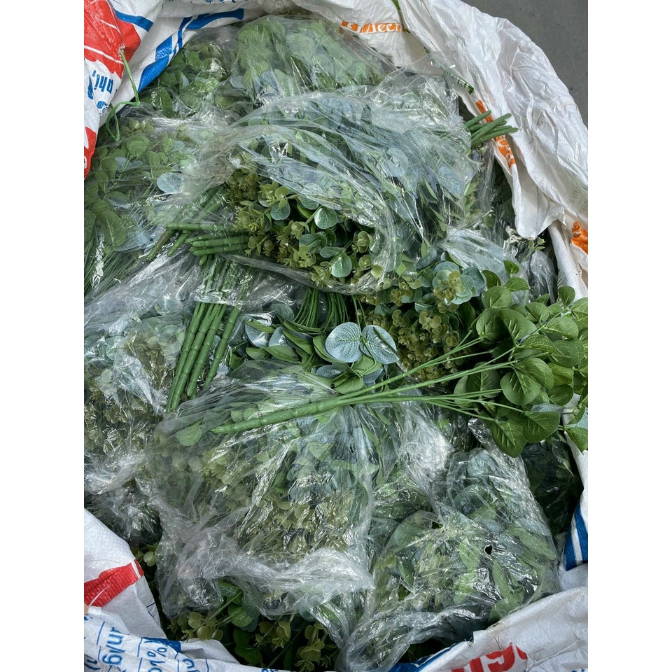 Lá Táo - Lá Mimosa Cắm Hoa Giá Rẻ