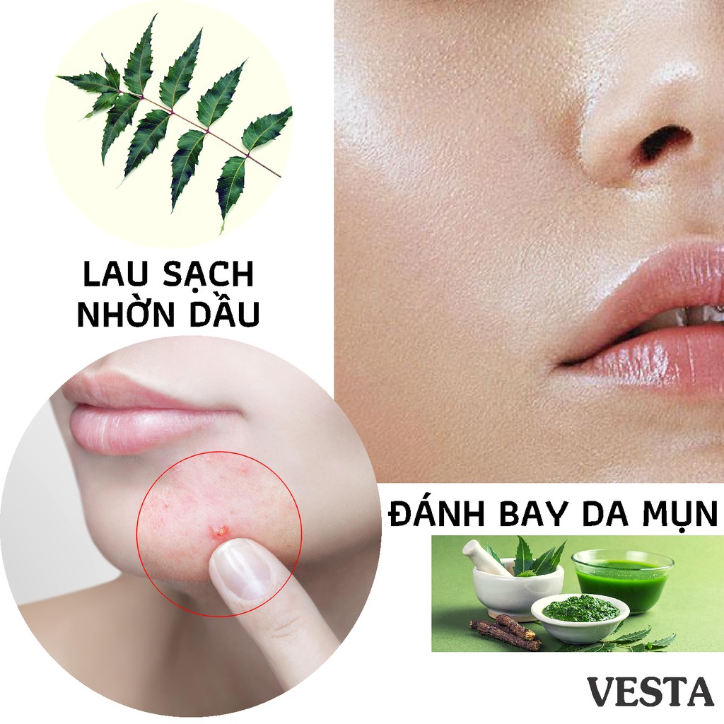 Bột Lá Neem Ấn Độ Nguyên Chất Vesta 100g | BigBuy360 - bigbuy360.vn