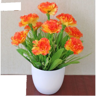 Chậu hoa để bàn xinh xắn