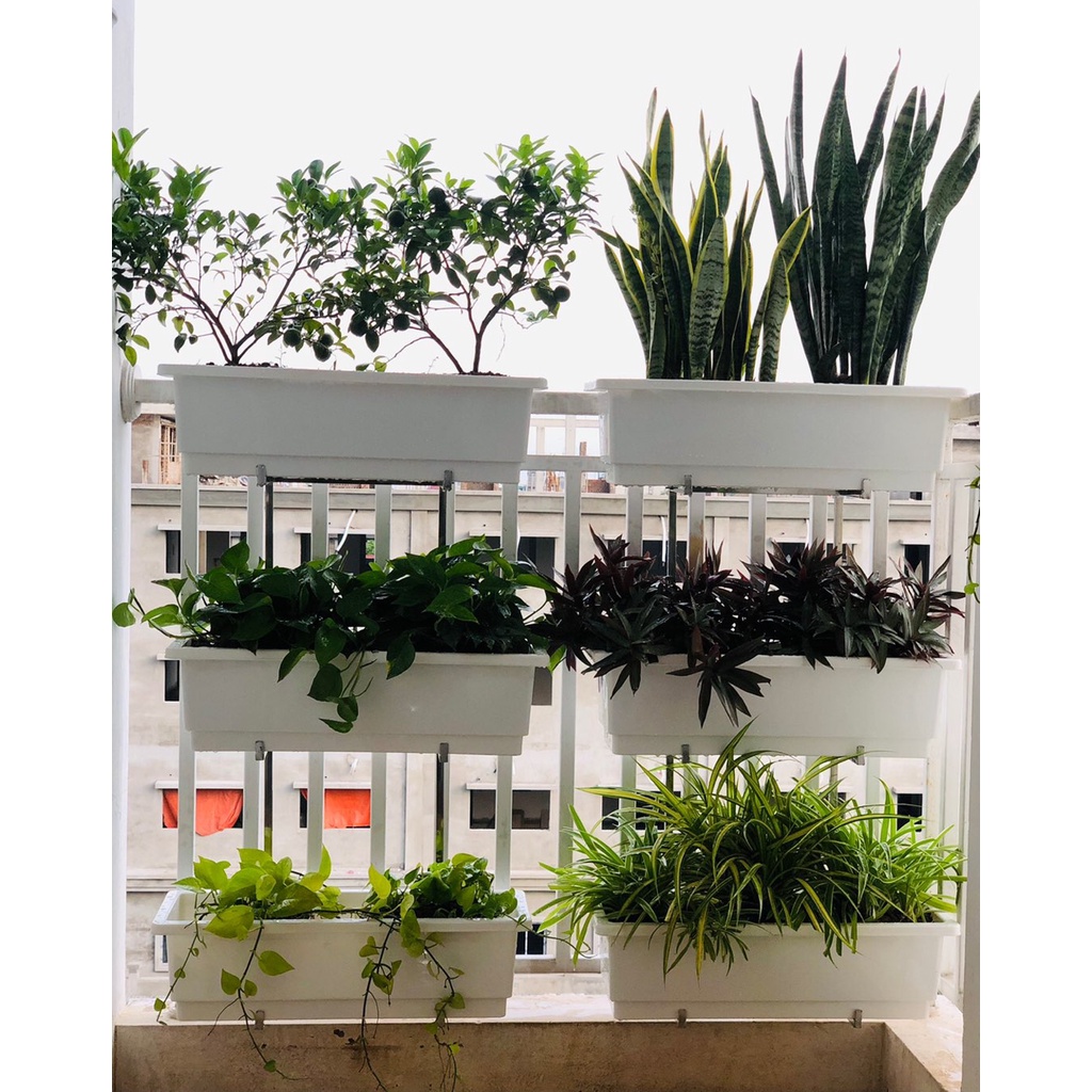 Chậu Nhựa Dài Thông Minh Trồng Hoa, Rau, Cây Cảnh -  Bền Đẹp - Size 48x20x16cm