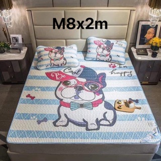 Combo chiếu + ga ct