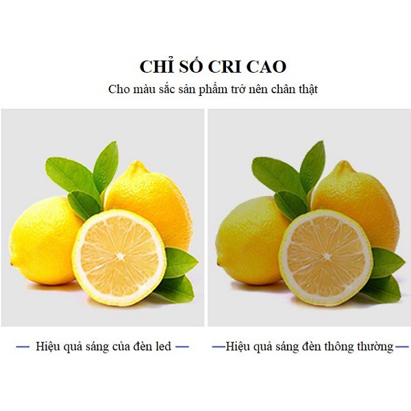 Bóng đèn led búp 9w chất lượng.