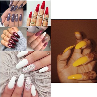 500 Móng úp form chuẩn size Hàn Quốc - Nail Store