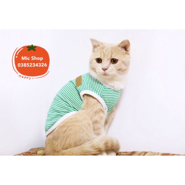 ❌ Áo cotton kẻ ngang Classic