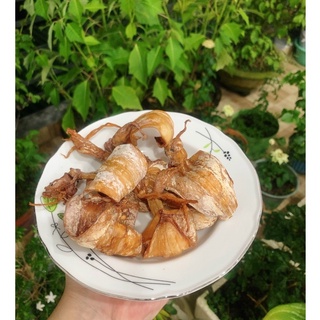 KHÔ MỰC CÂU MINI 500GR