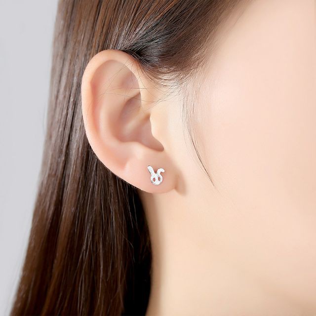 Hoa tai bạc 925 - 13 mẫu