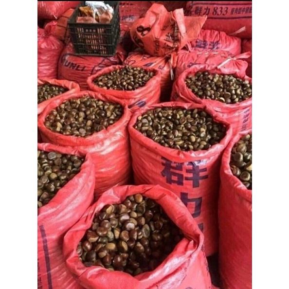 Combo 2kg hạt dẻ sống nguyên vỏ