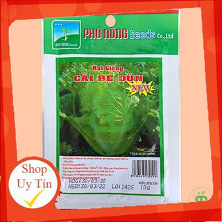 - Hạt Giống Cải Bẹ Dún chất lượng.
