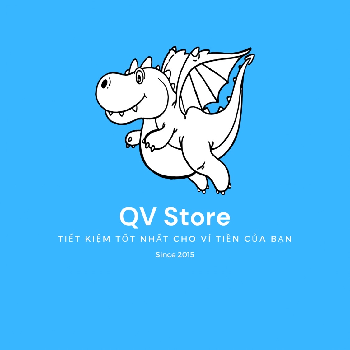 QV Store
