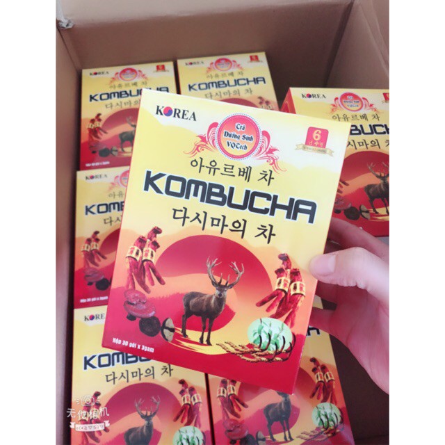 Trà dưỡng sinh Kombucha | BigBuy360 - bigbuy360.vn