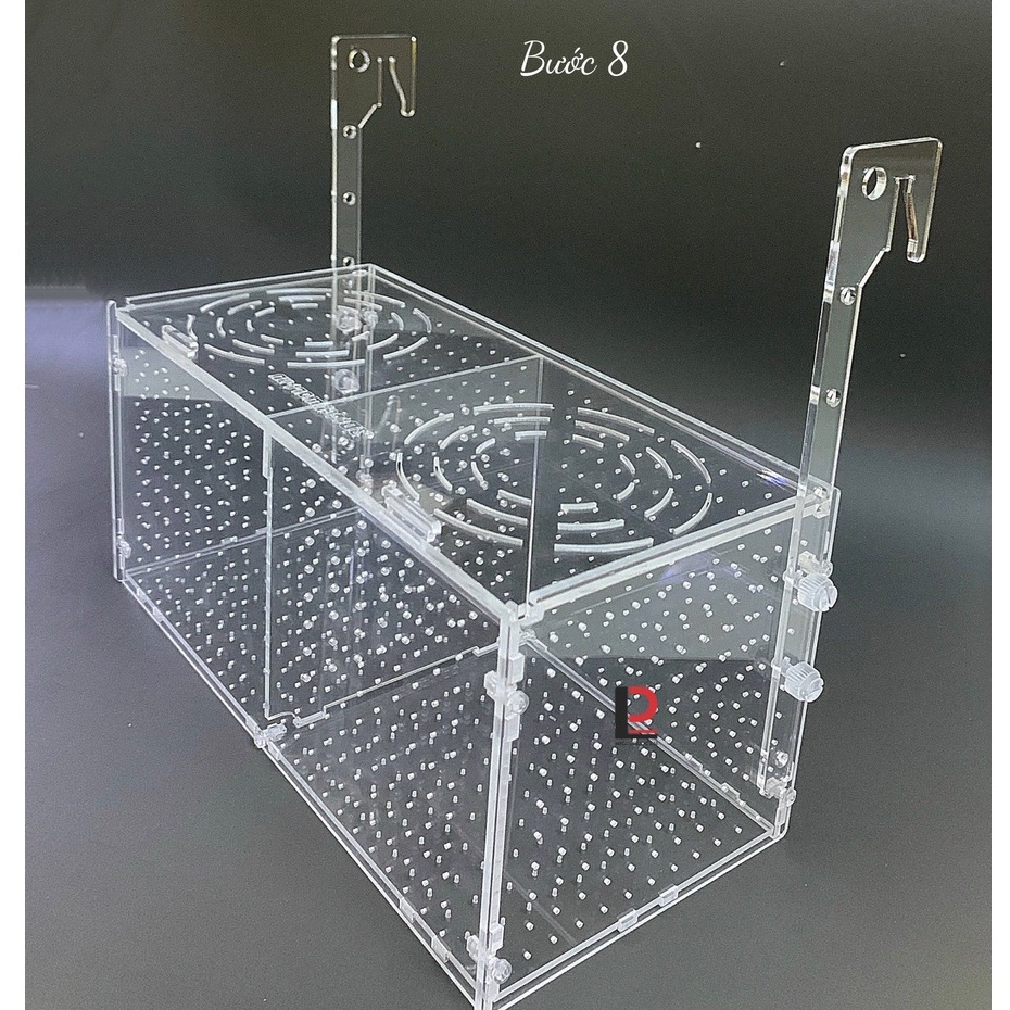 Box tép, Lồng dưỡng tép/ cá treo thành bể 2 ngăn xịn xò