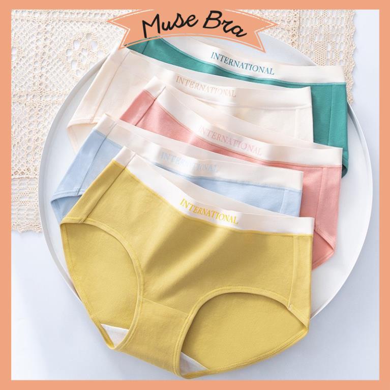 [Giá sỉ] Quần Lót Nữ Cotton Cạp Đúc Chữ Kháng Khuẩn Cao Cấp 8858