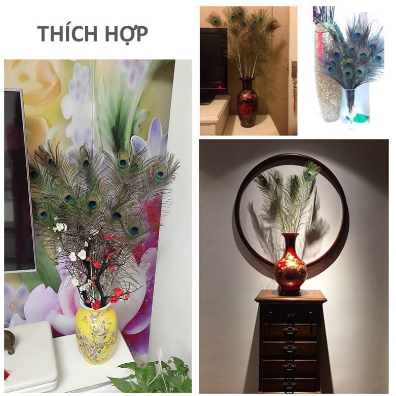 Combo 10 Lông công trang trí phong thủy tài lộc 28-35cm | BigBuy360 - bigbuy360.vn