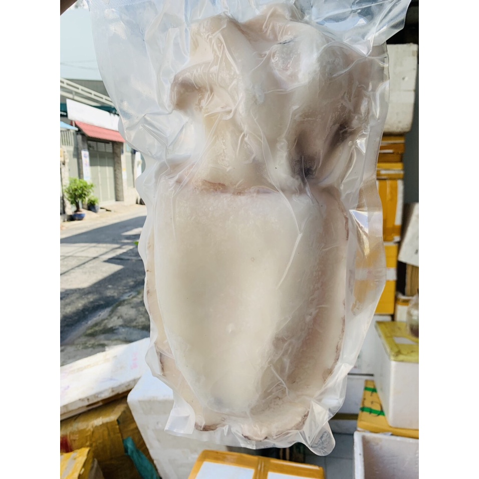 MỰC NANG KHỔNG LỒ 250k/con