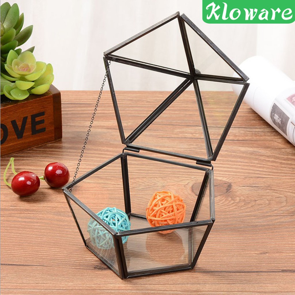 Chậu Trồng Cây Bằng Kính Thiết Kế Hình Học Độc Đáo