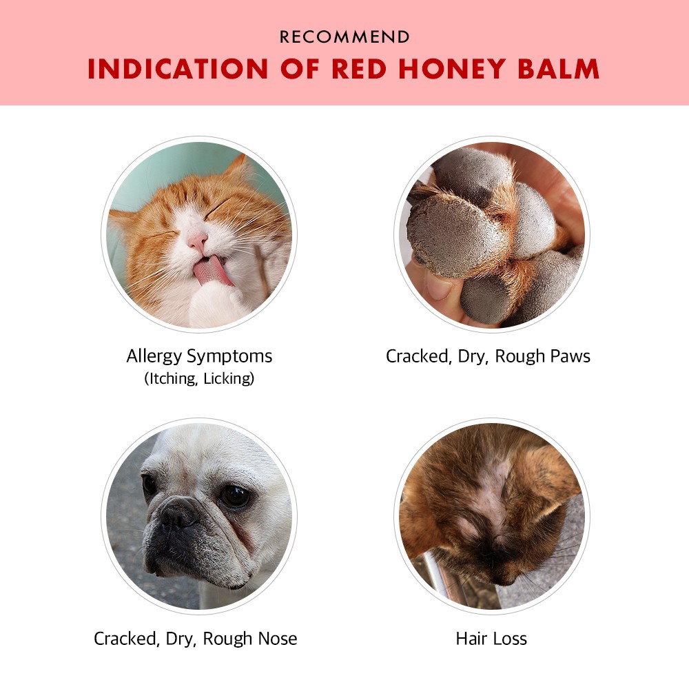 Kem Bôi Chân Thú Cưng Red Honey Balm 14g I Cat Dog Paw Wax Butter Lotion Cream Moisturizer