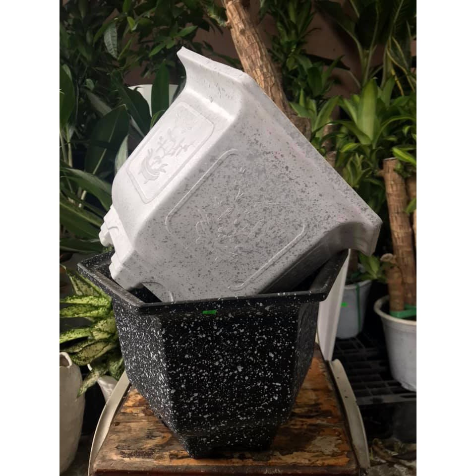 SET 10 Chậu nhựa lục giác Vân đá 39x27cm