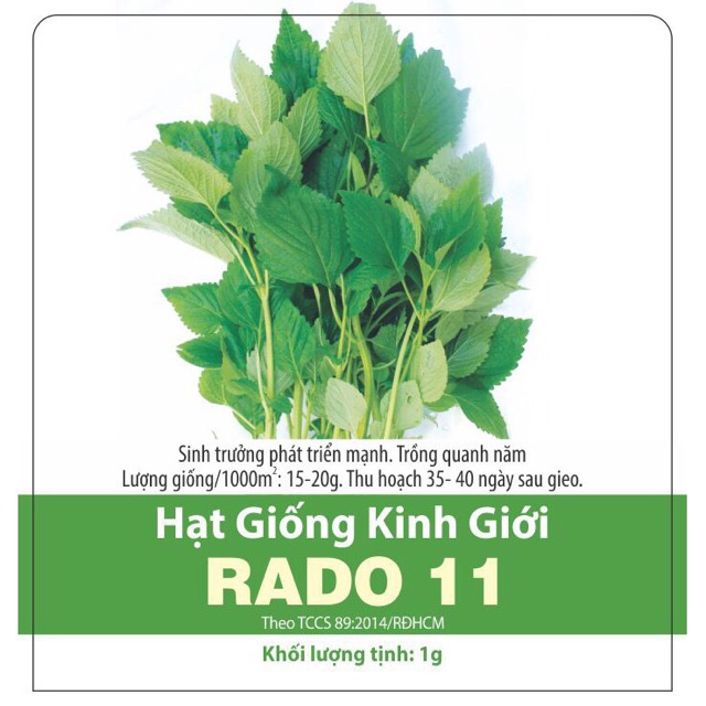 Hạt giống rau Kinh giới_ Gói 10gr