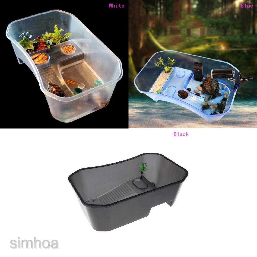 Hộp Nuôi Rùa 3 Màu