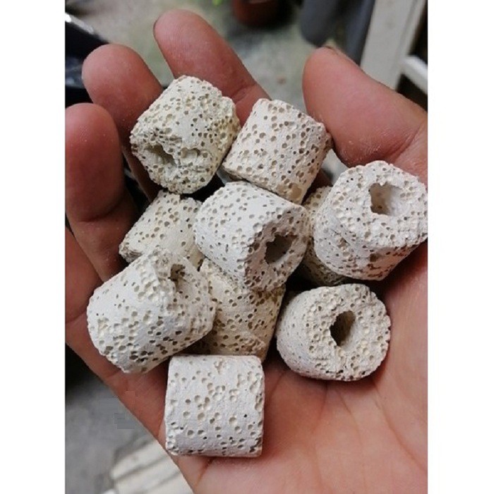 Lọc sứ trắng vật liệu lọc nước phổ biến cho bể cá