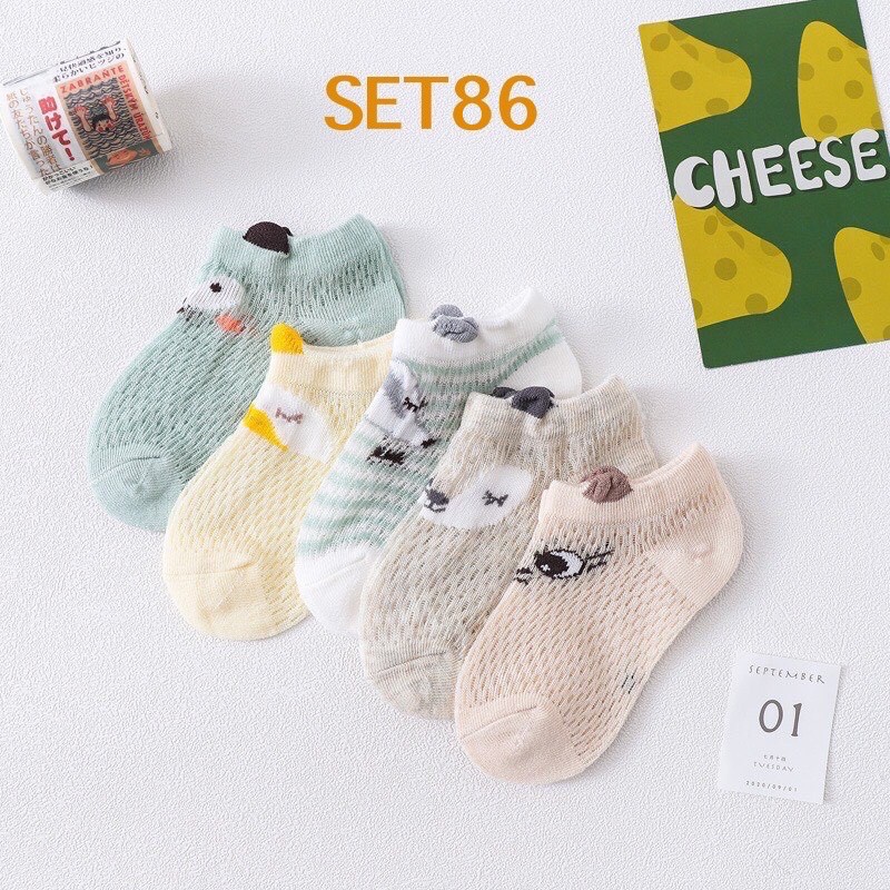 Set 5 đôi vớ lưới, tất lưới mùa hè cho bé