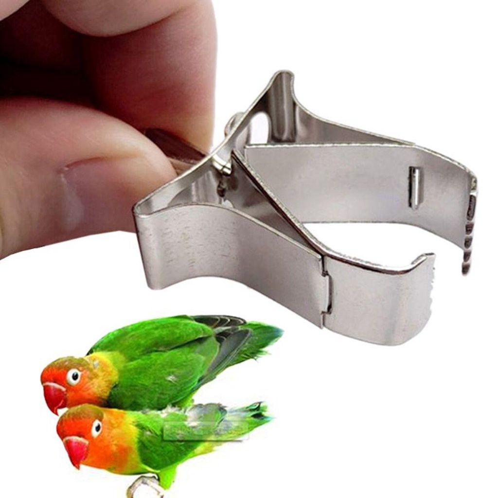 Dụng Cụ Kẹp Thức Ăn Gắn Lồng Chim Tiện Dụng
