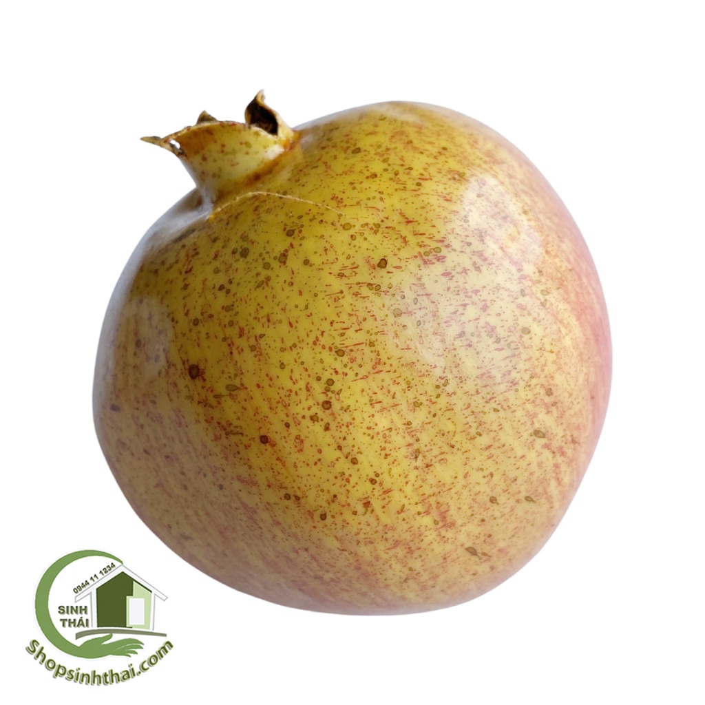 Trái lựu giả - trái cây giả cao cấp