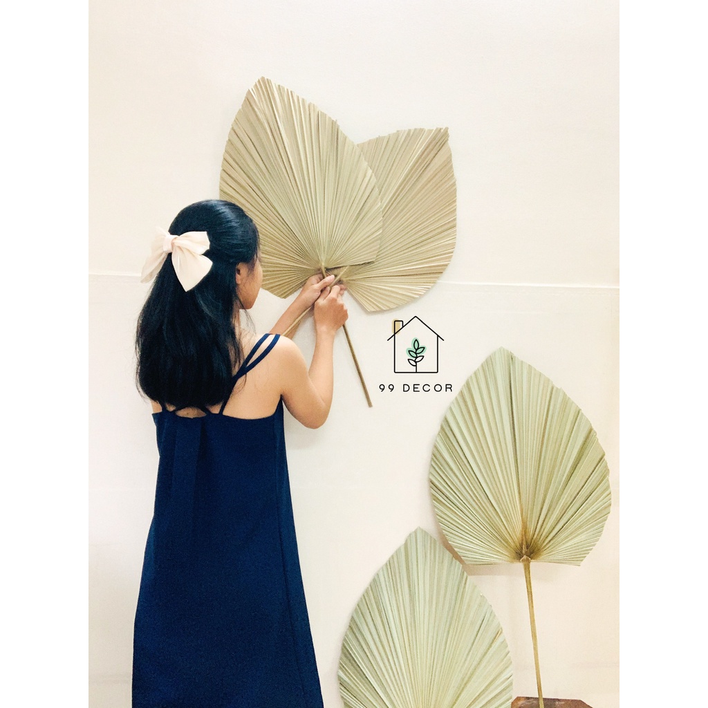 Lá Cọ Khô Tự Nhiên Decor Phòng, Trang Trí Nhà Cửa - 99Decor