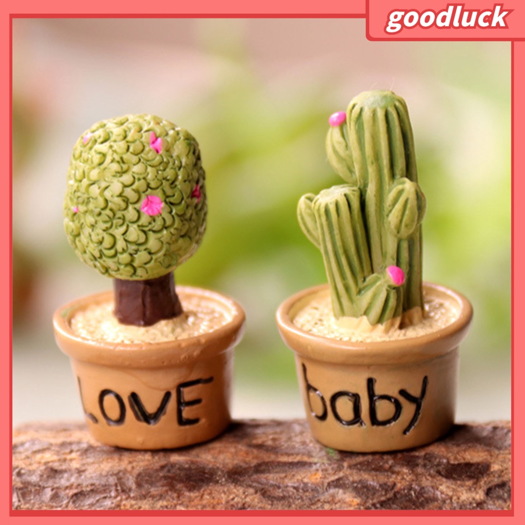 Mô hình cây mọng nước mini trang trí sân vườn DIY