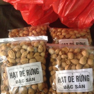 Hạt Dẻ Rừng ( Hạnh Nhân Sa Pa )