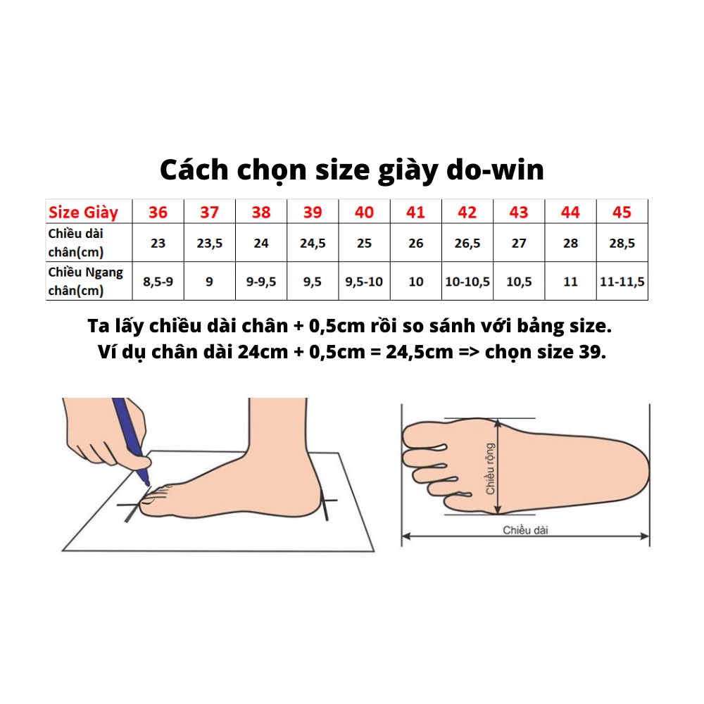 Giày chạy bộ Marathon Dowin ares 1- Chính hãng