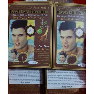 DẦU GỘI ĐEN TÓC BLACK HAIR SHAMPOO (lốc 10 hộp*2 gói)